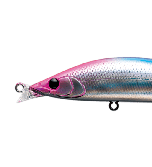 エルドール115F 画像