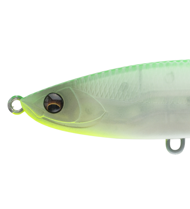 BALEINE 100FLの画像