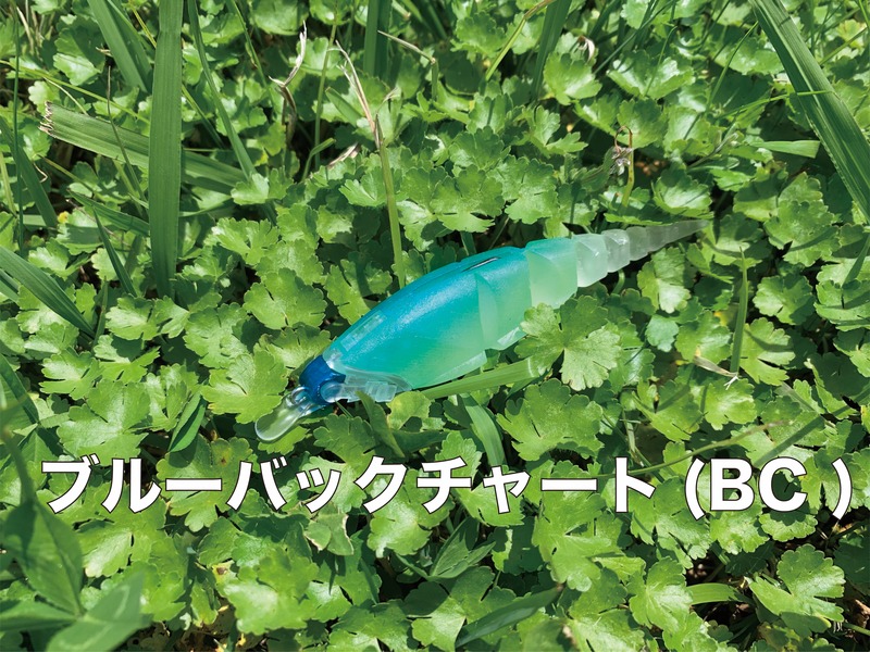 ブルーバックチャート（BC）