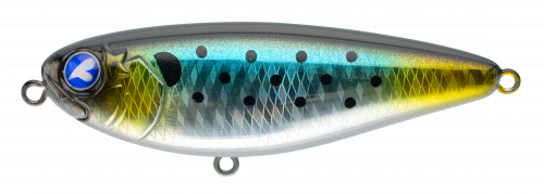 チュパゾー60 イナ