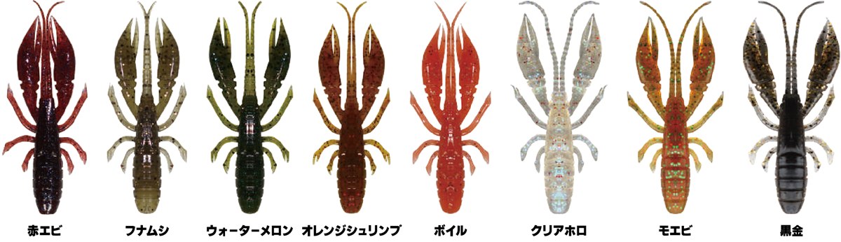 ハタ喰い・蝦 画像