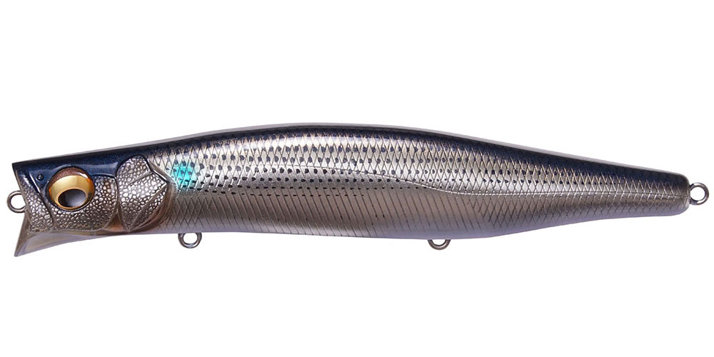 WAGIN BORA