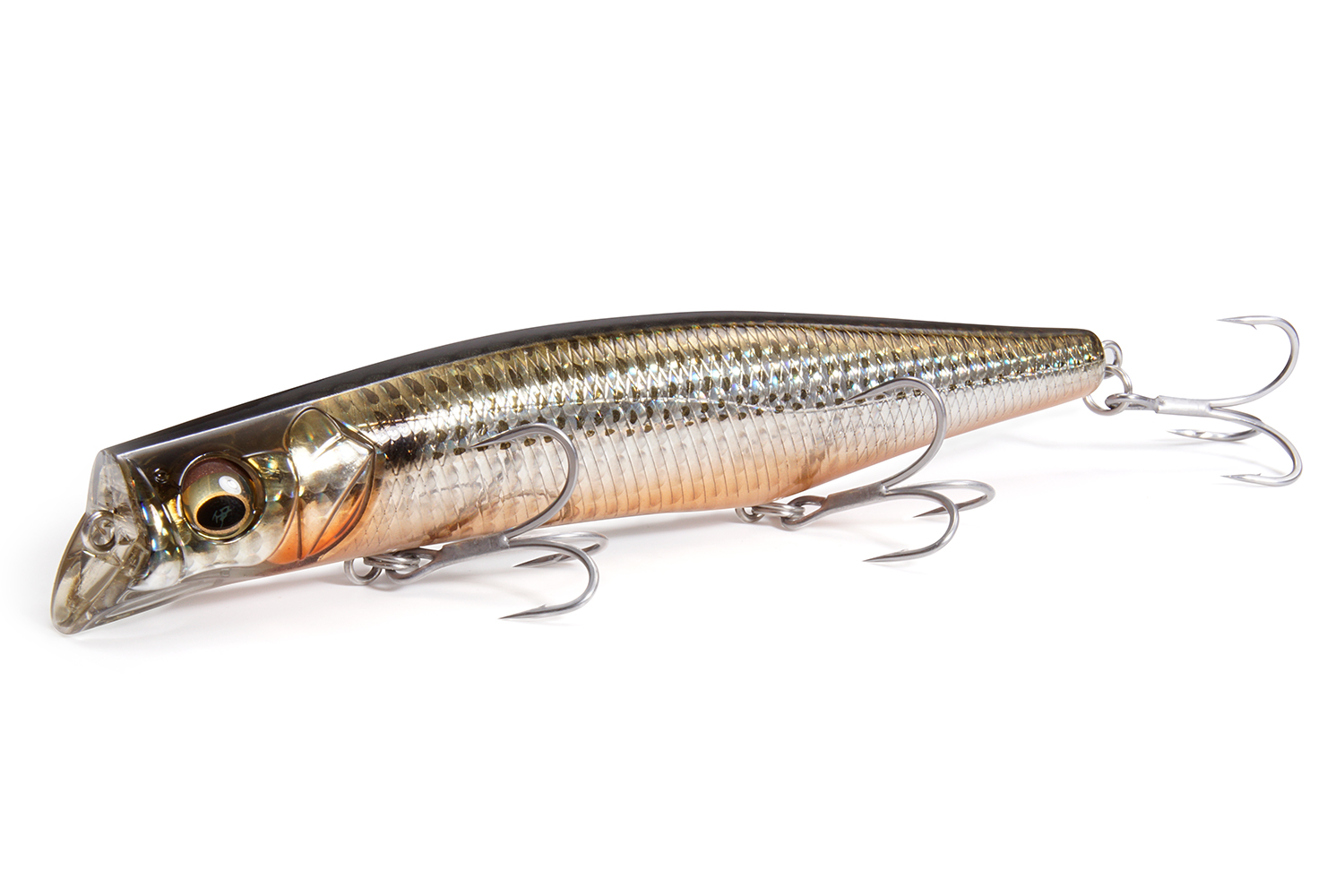 カゲロウMD156F 画像