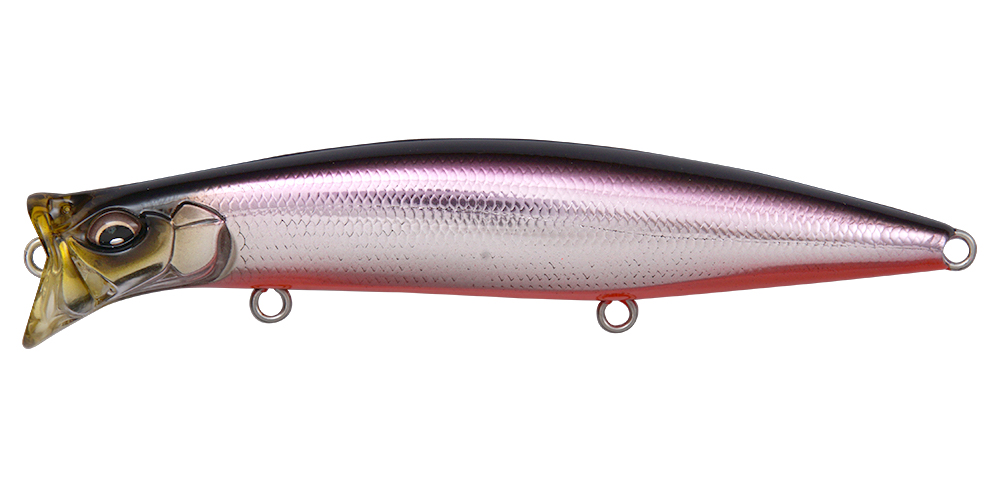 M KATAKUCHI RB