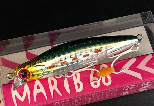 ML-2gr マルチイワシ 大野SP