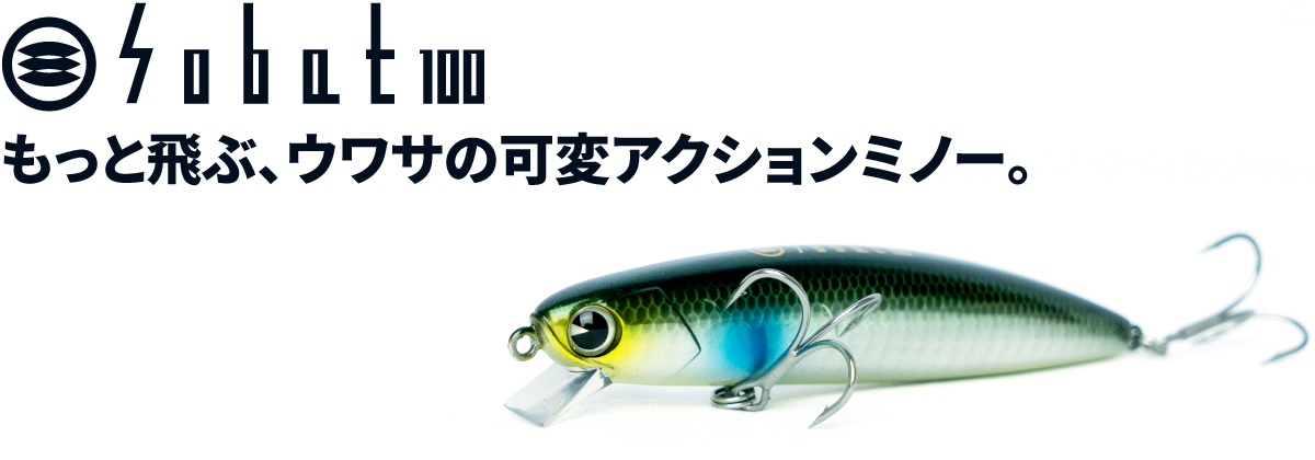 ソバット100