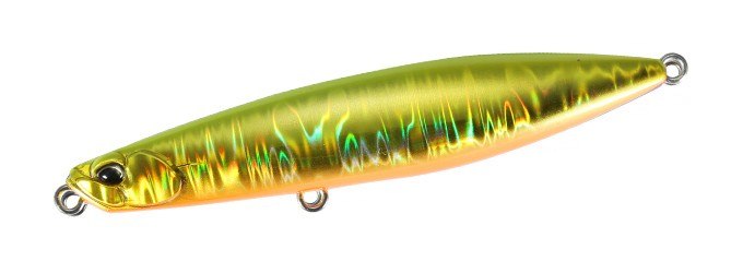 CPA0063 ヒラメゴールド