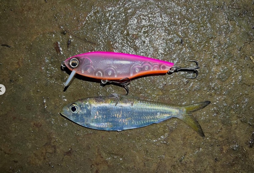 オルター73S 画像