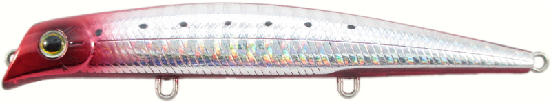 エリア10 ホロレッドバックレッドベリー