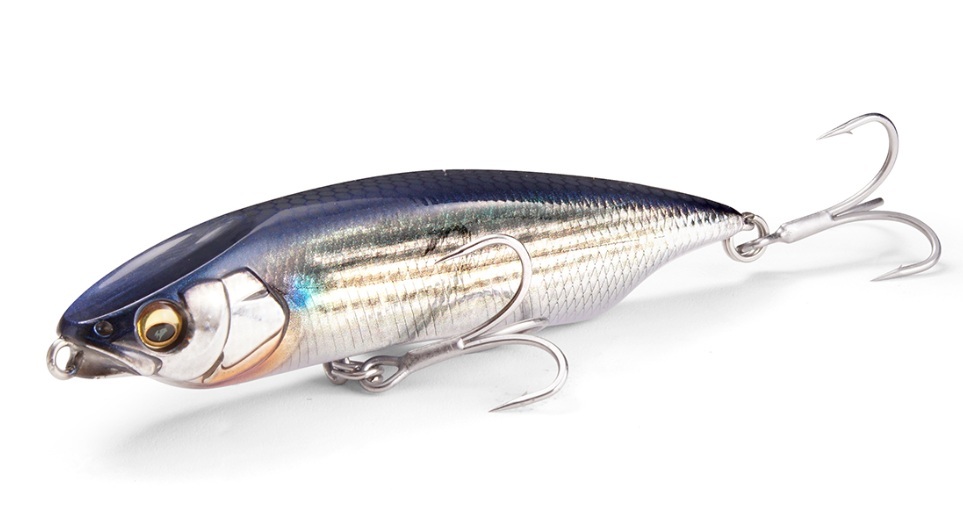 カラシ80sw 画像