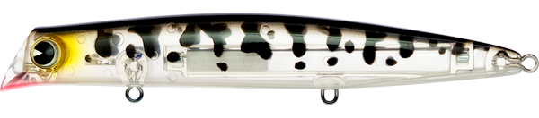 コーチドッククリア