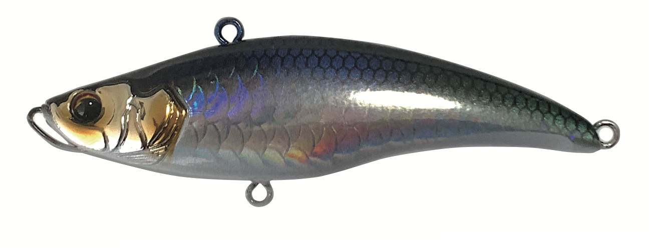 メタリックローチ