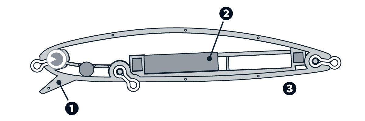 sobat100 断面　画像